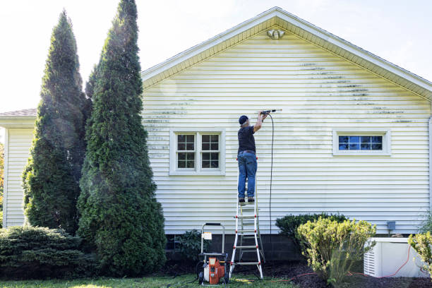Best House Exterior Washing  in Marion, IN